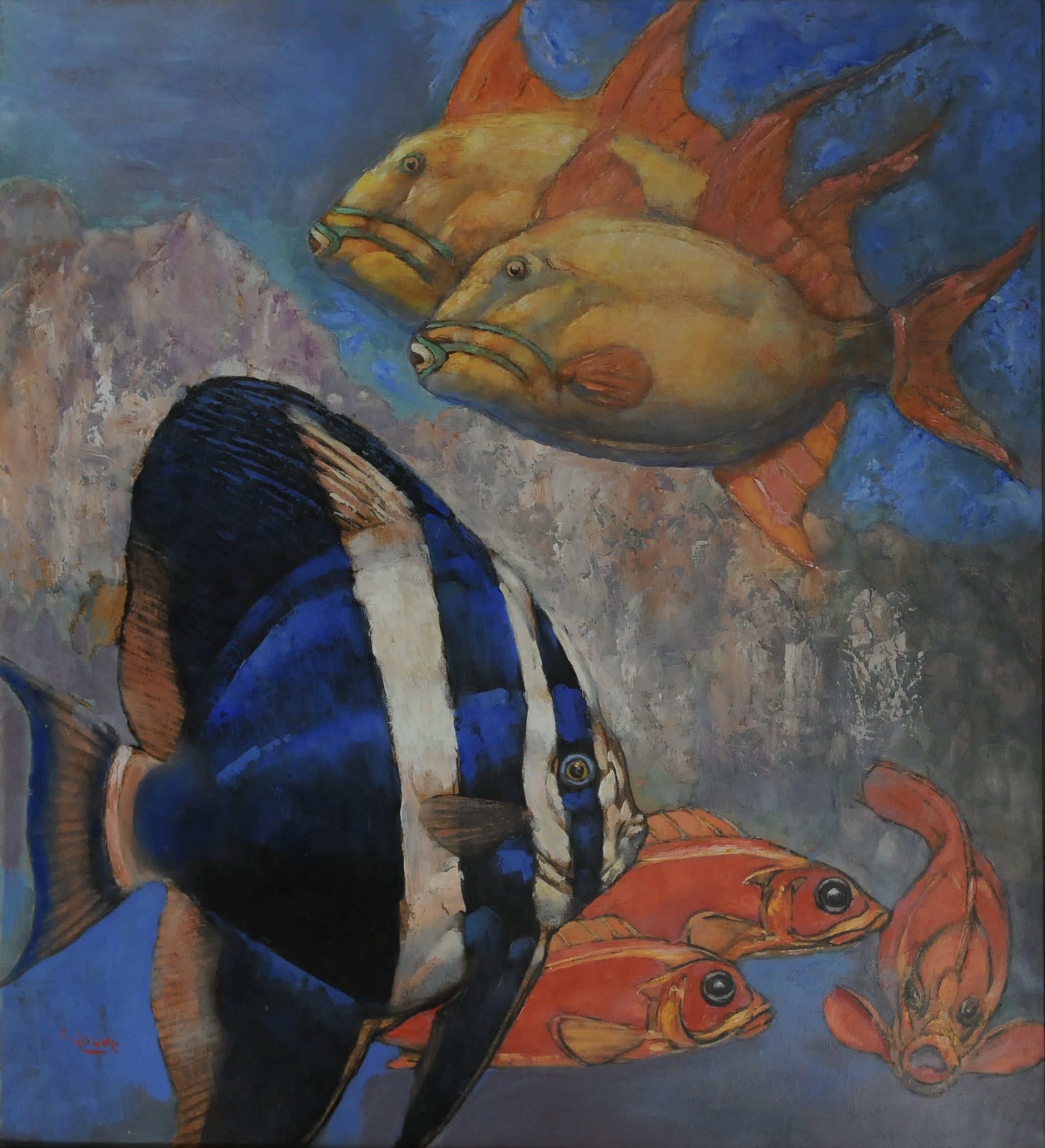 Poissons des Bermudes. 1956.